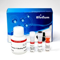 Biotium Dual Apoptosis Assay with NucView 488 Caspase-3 Substrate and CF594