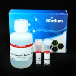Biotium AccuOrange Protein Quantitation Kit, 200 assays, Quantity: Pack