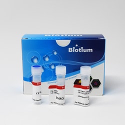 Biotium MemBrite™ Fix 543/560 Cell Surface Staining Kit, 100 Reactions