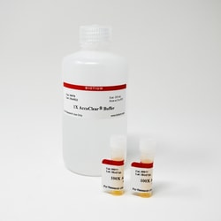 Biotium AccuClear Ultra High Sensitivity dsDNA Quantitation Solution (1000