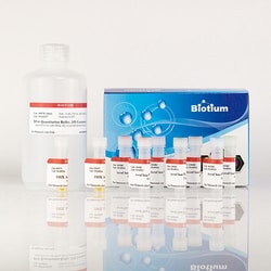 Biotium AccuClear Ultra High Sensitivity dsDNA Quantitation Kit with 8