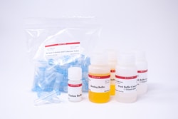 Biotium DNA Gel Extraction Kit - 50 Columns, Quantity: Pack of 1