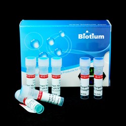 Biotium Forget-Me-Not EvaGreen qPCR Master Mix (2-Color Tracking) (100