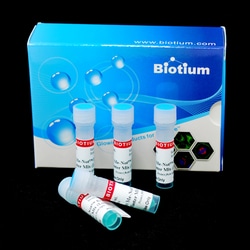 Biotium Forget-Me-Not EvaGreen qPCR Master Mix (High ROX) (100 reactions),