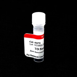 Biotium TO Succinimidyl Ester, Quantity: Each of 1