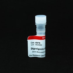 Biotium Digoxigenin-dUTP, alkali stable, Quantity: Each of 1