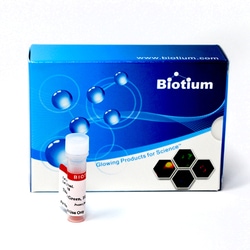 Biotium Thiazole Green, 10, 000X in DMSO, Quantity: Each of 1