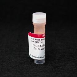Biotium PAGE GelRed Nucleic Acid Gel Stain, 10,000X in Water, Quantity: