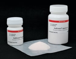 Biotium GelGreen Agarose LE, Quantity: Each of 1
