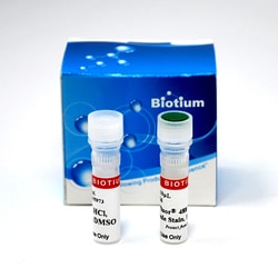 Biotium ViaFluor 405 Live Cell Microtubule Stain, Trial Size, Quantity: