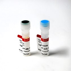 Biotium LipidSpot 488 Lipid Droplet Stain, 20 uL, Quantity: Each of 1