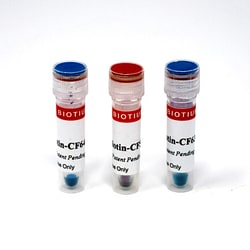 Biotium Biotin-CF568, Quantity: Each of 1