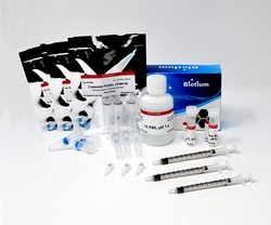 Biotium VivoBrite Rapid Antibody Labeling Kit for Small Animal In Vivo
