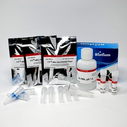 Biotium CF555 Protein Labeling Kit , 3x(1mg) labelings, Quantity: Pack