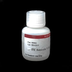 Biotium 5X Annexin V Binding Buffer, Quantity: Each of 1