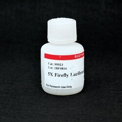 Biotium 5X Firefly Luciferase Lysis Buffer, Quantity: Each of 1