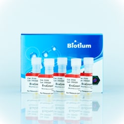 Biotium Fast EvaGreen Master Mix for qPCR (500 rxn), Quantity: Each of