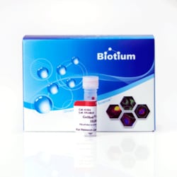 Biotium GelRed Nucleic Acid Gel Stain, 10,000X, Quantity: Each of 1