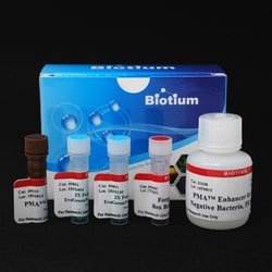 Biotium Viability PCR Starter Kit with PMAxx (all species), Quantity: Pack