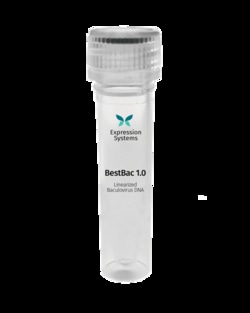 Expression Systems&nbsp;BESTBAC 1.0 LINEAR BACULOVIRUS
