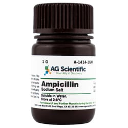 AG Scientific Inc Ampicillin, Sodium Salt, 1 G, Quantity: Each of 1
