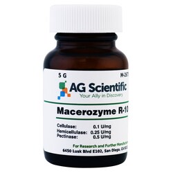AG Scientific Inc Macerozyme R-10, 5 G, Quantity: Each of 1