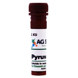 AG Scientific Inc Pyruvate Oxidase 1 KU, Quantity: Each of 1