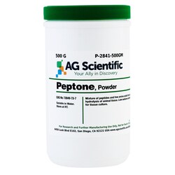 AG Scientific Inc Peptone Powder 500 G, Quantity: Each of 1