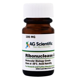 AG Scientific Inc RNase A, 100 MG, Quantity: Each of 1