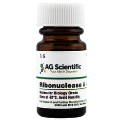 AG Scientific Inc RNase A, 1 G, Quantity: Each of 1