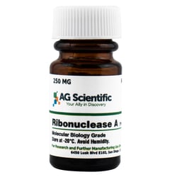 AG Scientific Inc&nbsp;RNase A, 250 MG
