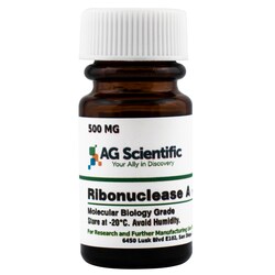 AG Scientific Inc&nbsp;RNase A, 500 MG