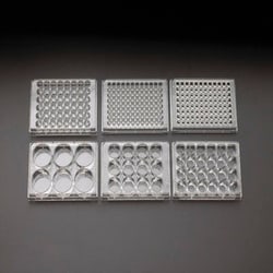 Quality Biological Inc 24 Well Non-treated Plate with Lid, Individual,