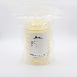 Quality Biological Inc LB Agar Plates with 75 g/mL Ampicillin, CS 100 X