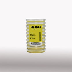 Quality Biological Inc LB Agar with 50 g/mL Kanamycin, SLV 10 X 25 mL,