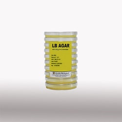 Quality Biological Inc LB Agar Plates with 150g/ml Carbenicillin, 100x40ml