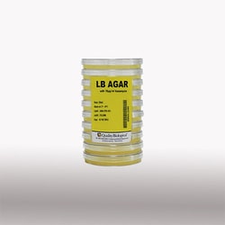 Quality Biological Inc&nbsp;LB Agar with 70 g/mL Kanamycin, SLV 10 X 25 mL