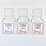 xbwgyページ Thermo Scientific™ Subcellular Protein Fractionation Kit for