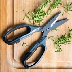 Accuflow Systems Multi-Purpose Stainless Steel Scissors-Gray, Quantity: