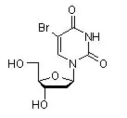 Abcam Thymidine analog for measuring cell proliferation, Quantity: Each