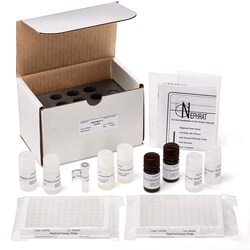 Ethos Biosciences Exocell Nephrat Ii (Rat Nephrin Elisa)