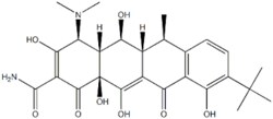 Echelon Biosciences Research Labs 9-tert-Butyl Doxycycline HCl | 233585-94-9