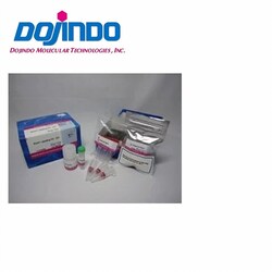 Dojindo Molecular Technologies Inc Alkaline Phosphatase Labeling Kit-NH2