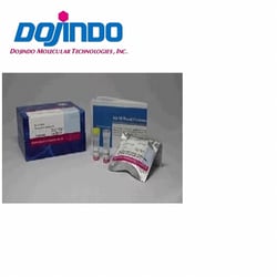 Dojindo Molecular Technologies Inc Ab-10 Rapid Fluorescein Labeling Kit