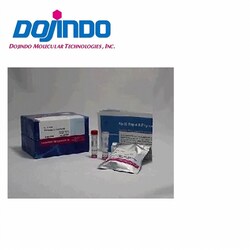 Dojindo Molecular Technologies Inc Ab-10 Rapid R-Phycoerythrin Labeling