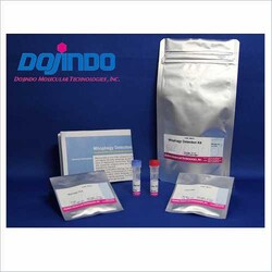 Dojindo Molecular Technologies Inc Mitophagy Detection Kit (1 set, 5UG