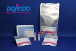 Dojindo Molecular Technologies Inc Mitophagy Detection Kit (1 set, 5UG