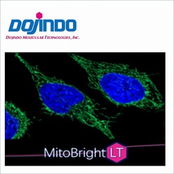Dojindo Molecular Technologies Inc MitoBright LT Green Dye (400 ul), Quantity: