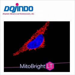 Dojindo Molecular Technologies Inc MitoBright LT Red Dye (400 ul), Quantity: