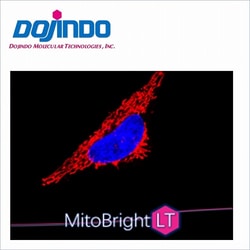 Dojindo Molecular Technologies Inc MitoBright LT Deep Red Dye (20 ul),